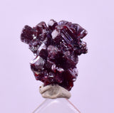 1cms PROUSTITE RED RUBY SILVER PERU UCHUCCHACUA MINE MINERAL SPECIMEN HB351