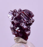 1cms PROUSTITE RED RUBY SILVER PERU UCHUCCHACUA MINE MINERAL SPECIMEN HB351