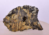 88Grams INCA GOLDEN HEALER PYRITE MAGNETITE ROUGH MAGNETIC PERU MB162