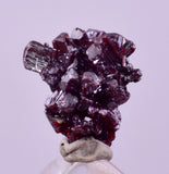 1cms PROUSTITE RED RUBY SILVER PERU UCHUCCHACUA MINE MINERAL SPECIMEN HB351