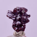1cms PROUSTITE RED RUBY SILVER PERU UCHUCCHACUA MINE MINERAL SPECIMEN HB351
