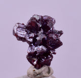 1cms PROUSTITE RED RUBY SILVER PERU UCHUCCHACUA MINE MINERAL SPECIMEN HB351