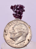 1cms PROUSTITE RED RUBY SILVER PERU UCHUCCHACUA MINE MINERAL SPECIMEN HB351