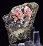 4.8cm RHODOCHROSITE CRYSTALS PERU OLD STOCK UCHUCCHACUA MINERAL SPECIMEN RB669