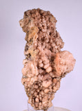12.4cms NATURAL SCULPTURE ROSE QUARTZ DRUZY BRIGHT CRYSTALS BOTRYOIDAL PERU NEW FIND QB120