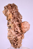 12.4cms NATURAL SCULPTURE ROSE QUARTZ DRUZY BRIGHT CRYSTALS BOTRYOIDAL PERU NEW FIND QB120