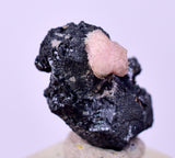1.2cms PYRARGIRITE SILVER WIRE PERU RHODOCHROSITE UCHUCCHACUA MINE HB286