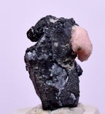 1.2cms PYRARGIRITE SILVER WIRE PERU RHODOCHROSITE UCHUCCHACUA MINE HB286