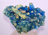 14.5cms NATURAL CHALCANTHITE Peru Copper Botryoidal Crystals Druzy Translucent Electric Blue Shiny Mineral FB106
