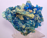 14.5cms NATURAL CHALCANTHITE Peru Copper Botryoidal Crystals Druzy Translucent Electric Blue Shiny Mineral FB106