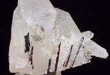 5.4cms RED HUBNERITE QUARTZ CRYSTALS MINERAL SPECIMEN COLLECTOR PERU MB166