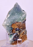 6.3cms DRUZY CHRYSOCOLLA QUARTZ CRYSTAL LILY MINE PERU 2000 YEAR DB299