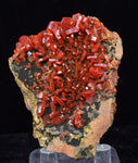 5.6cm VANADINITE CRYSTAL MIBLADEN MOROCCO MINIATURE MINERAL SPECIMEN WB36