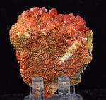 5.6cm VANADINITE CRYSTAL MIBLADEN MOROCCO MINIATURE MINERAL SPECIMEN WB36