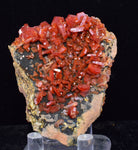 5.6cm VANADINITE CRYSTAL MIBLADEN MOROCCO MINIATURE MINERAL SPECIMEN WB36