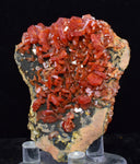 5.6cm VANADINITE CRYSTAL MIBLADEN MOROCCO MINIATURE MINERAL SPECIMEN WB36