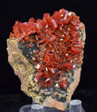 5.6cm VANADINITE CRYSTAL MIBLADEN MOROCCO MINIATURE MINERAL SPECIMEN WB36