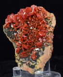 5.6cm VANADINITE CRYSTAL MIBLADEN MOROCCO MINIATURE MINERAL SPECIMEN WB36