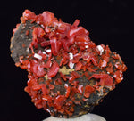 4.2cm VANADINITE CRYSTAL MIBLADEN MOROCCO MINIATURE MINERAL SPECIMEN WB37