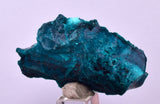 4.9cm GEM BLUE MALACHITE PSEUDOMORPH CHRYSOCOLLA PERU ROSETTE  CRYSTAL UB372