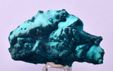 4.9cm GEM BLUE MALACHITE PSEUDOMORPH CHRYSOCOLLA PERU ROSETTE  CRYSTAL UB372