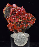 4.2cm VANADINITE CRYSTAL MIBLADEN MOROCCO MINIATURE MINERAL SPECIMEN WB37