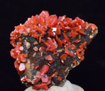 4.1cm VANADINITE CRYSTAL MIBLADEN MOROCCO MINIATURE MINERAL SPECIMEN WB38