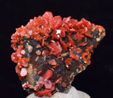 4.1cm VANADINITE CRYSTAL MIBLADEN MOROCCO MINIATURE MINERAL SPECIMEN WB38