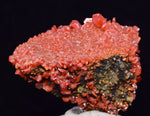 4.1cm VANADINITE CRYSTAL MIBLADEN MOROCCO MINIATURE MINERAL SPECIMEN WB38