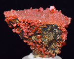 4.1cm VANADINITE CRYSTAL MIBLADEN MOROCCO MINIATURE MINERAL SPECIMEN WB38