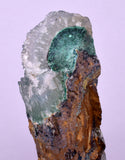 6.3cms DRUZY CHRYSOCOLLA QUARTZ CRYSTAL LILY MINE PERU 2000 YEAR DB299