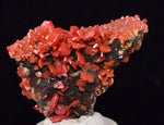 4.1cm VANADINITE CRYSTAL MIBLADEN MOROCCO MINIATURE MINERAL SPECIMEN WB38