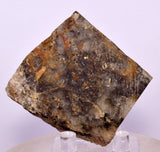 98Grams SYLVANITE NATIVE YELLOW GOLD COLORADO USA MINERAL LB225