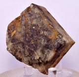 98Grams SYLVANITE NATIVE YELLOW GOLD COLORADO USA MINERAL LB225