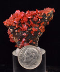 4.1cm VANADINITE CRYSTAL MIBLADEN MOROCCO MINIATURE MINERAL SPECIMEN WB38