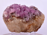 5.7cms COBALTOAN CALCITE SHINY CRYSTAL MOROCCO MINERAL SPECIMEN GB71