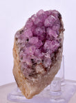 5.7cms COBALTOAN CALCITE SHINY CRYSTAL MOROCCO MINERAL SPECIMEN GB71