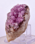 5.7cms COBALTOAN CALCITE SHINY CRYSTAL MOROCCO MINERAL SPECIMEN GB71