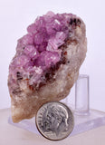 5.7cms COBALTOAN CALCITE SHINY CRYSTAL MOROCCO MINERAL SPECIMEN GB71