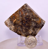 98Grams SYLVANITE NATIVE YELLOW GOLD COLORADO USA MINERAL LB225
