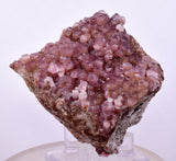 6.6cms COBALTOAN CALCITE SHINY CRYSTAL MOROCCO MINERAL SPECIMEN GB72