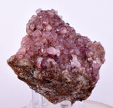 6.6cms COBALTOAN CALCITE SHINY CRYSTAL MOROCCO MINERAL SPECIMEN GB72