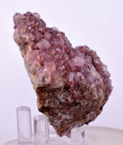 6.6cms COBALTOAN CALCITE SHINY CRYSTAL MOROCCO MINERAL SPECIMEN GB72