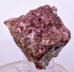 6.6cms COBALTOAN CALCITE SHINY CRYSTAL MOROCCO MINERAL SPECIMEN GB72