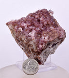 6.6cms COBALTOAN CALCITE SHINY CRYSTAL MOROCCO MINERAL SPECIMEN GB72