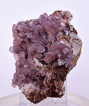 6.6cms COBALTOAN CALCITE SHINY CRYSTAL MOROCCO MINERAL SPECIMEN GB73