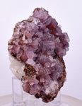 6.6cms COBALTOAN CALCITE SHINY CRYSTAL MOROCCO MINERAL SPECIMEN GB73