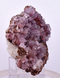 6.6cms COBALTOAN CALCITE SHINY CRYSTAL MOROCCO MINERAL SPECIMEN GB73