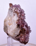6.6cms COBALTOAN CALCITE SHINY CRYSTAL MOROCCO MINERAL SPECIMEN GB73