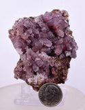 6.6cms COBALTOAN CALCITE SHINY CRYSTAL MOROCCO MINERAL SPECIMEN GB73